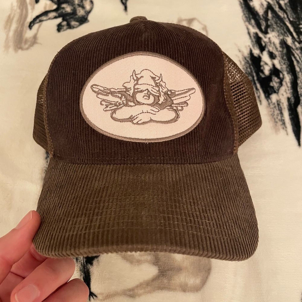Boys Lie Brown Hat